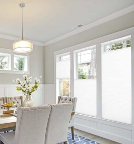 Shades in dining room Photo