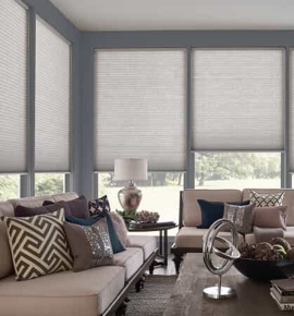 Shades in living room Photo