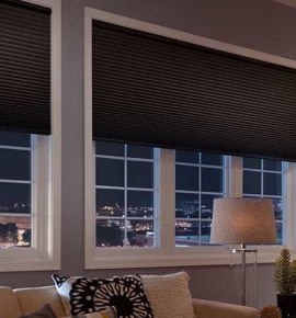 Brown Cellular Shades in living room Photo