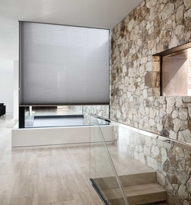 Cellular Shade in entryway Photo