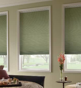 Green honeycomb shades Photo