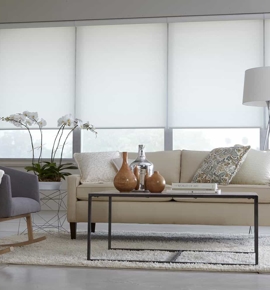 Motorized shades in living room Photo