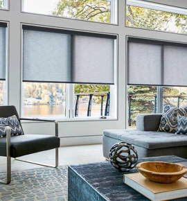 Roller Shades in living room Photo