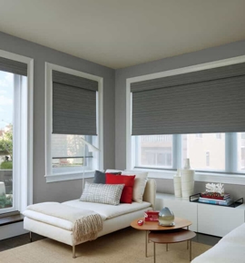 Dark gray roller Shades in living room Photo