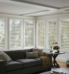 White Shutters in living room Photo